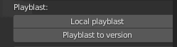 ../_images/working_panel_playblast.png